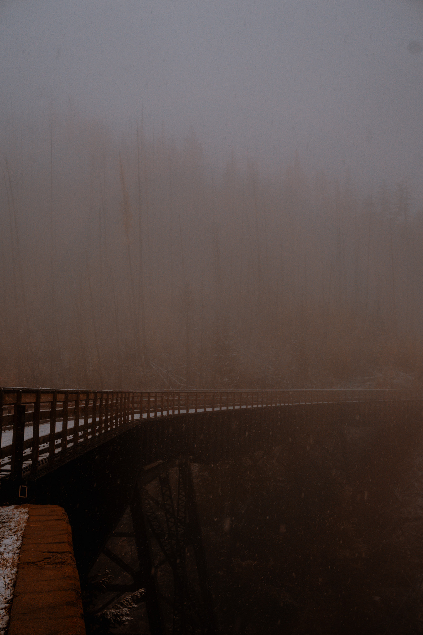 A wooden bridge disappearing into winter fog
