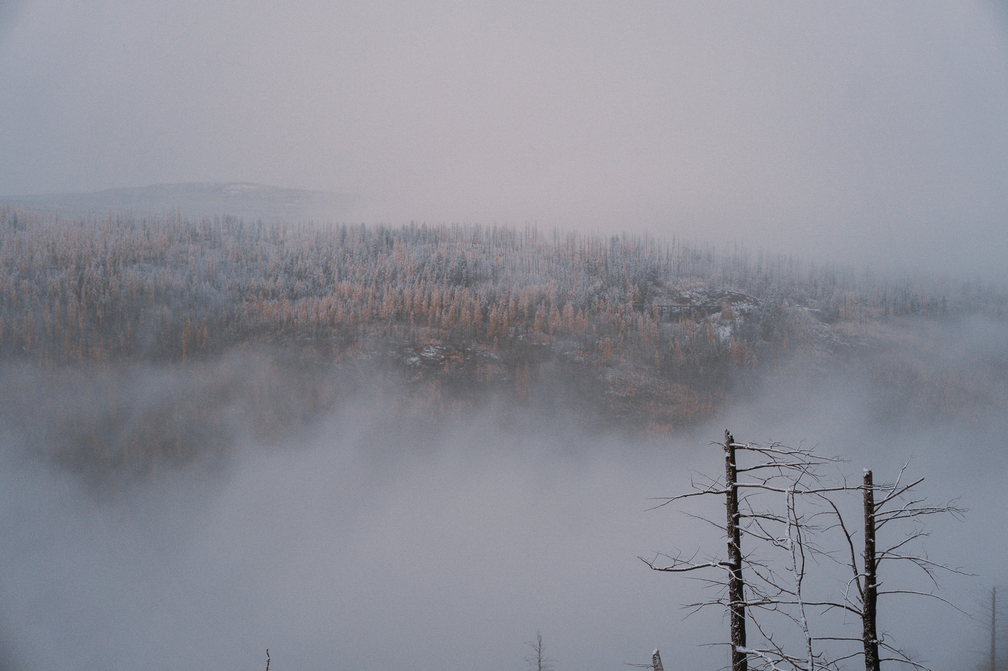 A misty winter lake framed by forest